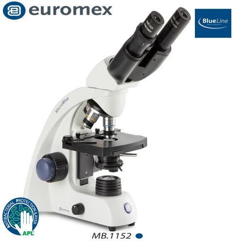 Binocular Microscope MB.1152 4/10/S40x/S100x objectives, Euromex Netherlands