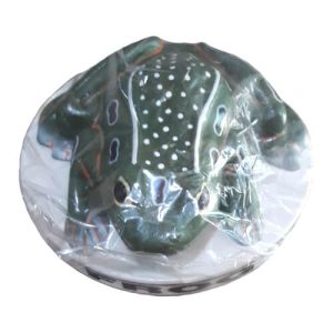 Frog Artificial Model on Board