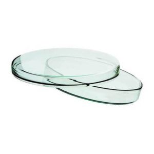 Glass Petri Dish 120 mm