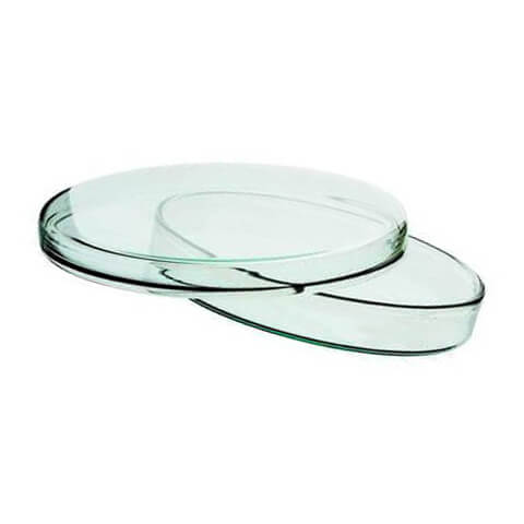 Glass Petri Dish 120 mm