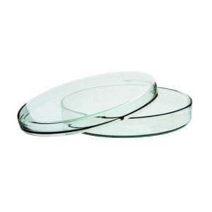 Glass Petri Dishes 90 mm