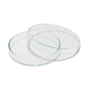 Plastic Petri Dishes 90 mm